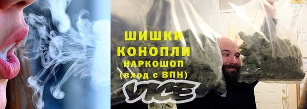 гидра Белокуриха