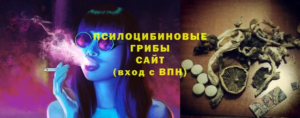 прущие грибы Сатка
