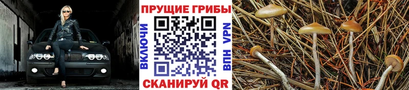 Галлюциногенные грибы мухоморы  Купить  Белая Калитва 